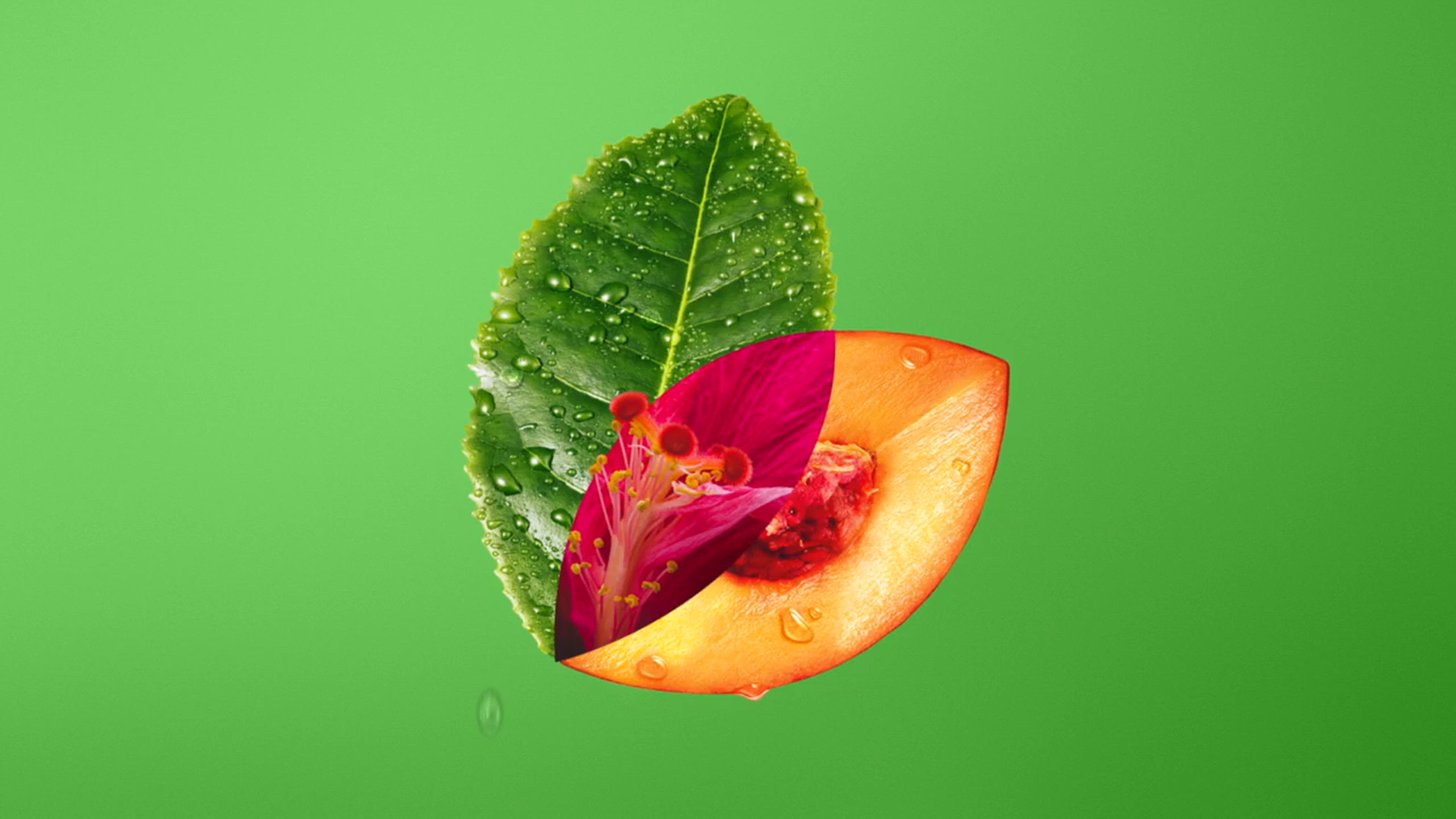 Искаш пауза? Събуди сетивата си с Fuzetea