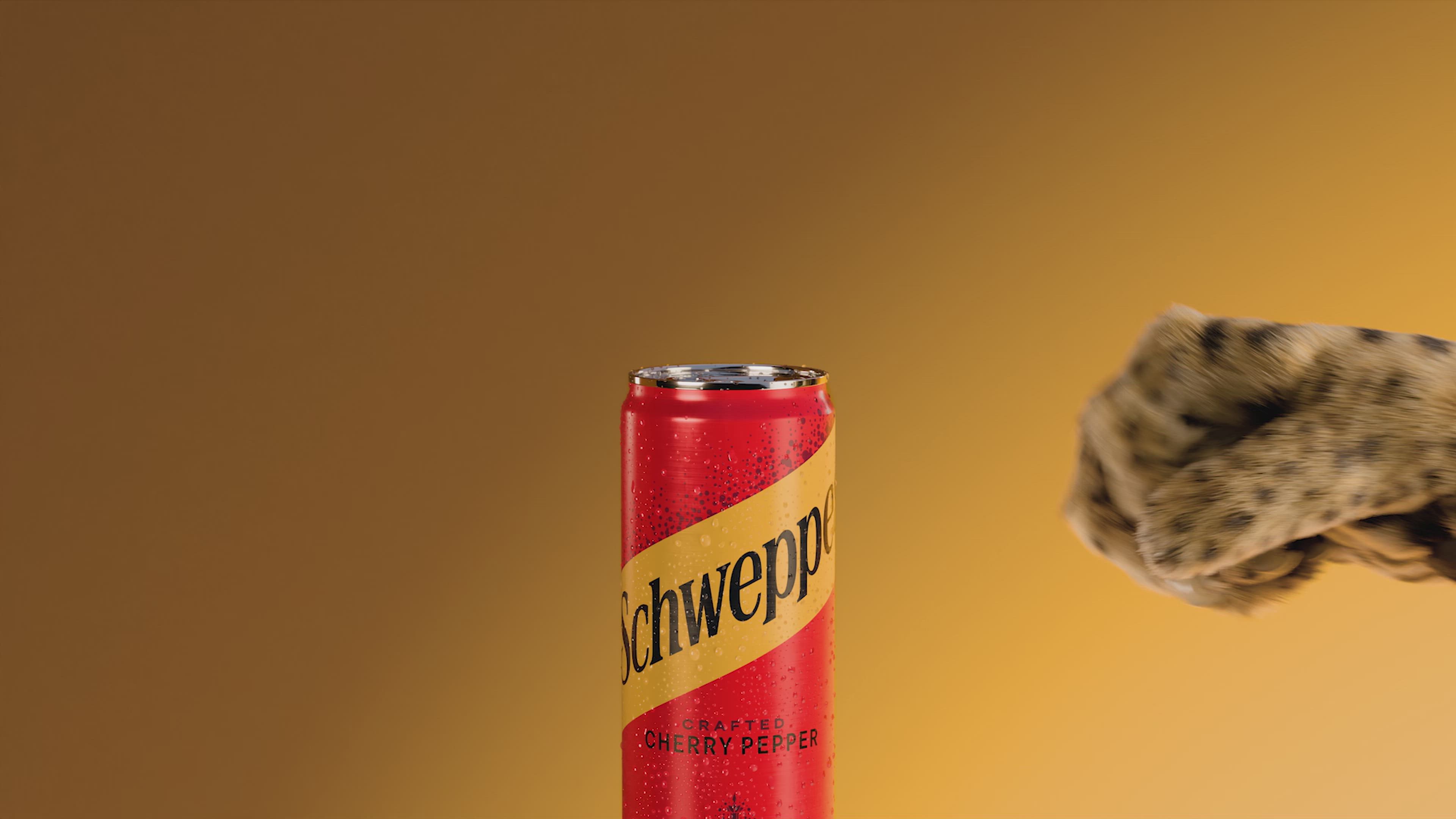 O labă de tigru apucă o cutie de noua bere Schweppes Sour cherry